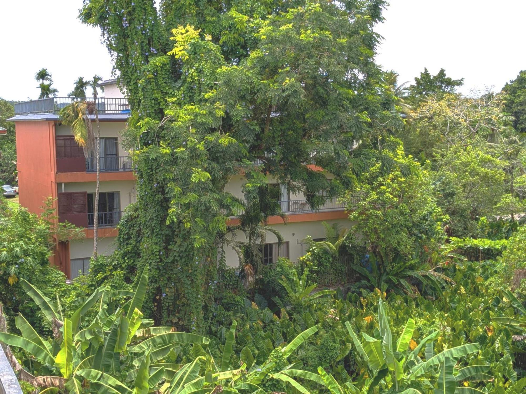 Garden Palace Downtown Koror Dış mekan fotoğraf